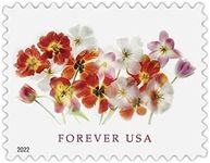 USPS Tulips (Sheet of 20) Postage F