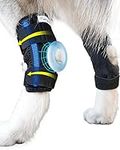 MerryMilo Dog Leg Brace for Rear Hock & Ankle, Canine Hind Leg Joint Compression Wrap for Torn ACL & CCL, Injury and Sprain Protection, Wound Care and Loss of Stability from Arthritis 1 Pair (Size: L)