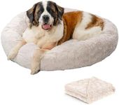 Best Friends by Sheri Bundle Set Th