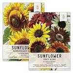 Seed Needs, Sunflower Duo 300+ Mammoth and 1,000+ Crazy Mixture Seeds (Helianthus annuus) These Sunflowers Flowers Attract Hummingbirds, Bees and Butterflies (Pollinators) Bulk