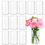 12pcs Glass Cylinder Vases for Centerpieces | 6 Inch Tall Flower Vase for Wedding Decorations, Clear Floating Candle Vases in Bulk, Hurricane Candle Holders for Table, Home Décor