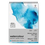 Winsor & Newton Watercolour Paper Cold Pressed 30.5 x 40.6 cm - 300 g