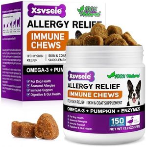 Dog Allerg