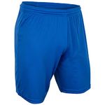 CHAMPRO Boys' Vision Athletic Gym Shorts, Royal, Medium