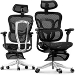 FLEXISPOT ErgoX Max Ergonomic Offic
