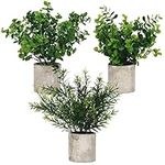 BELLE VOUS Mini Potted Artificial Eucalyptus Plants (3 Pack) - Small Faux Plastic Greenery In Pots - Fake Indoor Plants for Office Desk, Home, Kitchen, Garden, Table & Bathroom/Shower Room Decoration