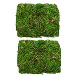 TRIXES 100g Decorative Dried Green Moss – Real Preserved – ­Perfect for Plants & Flower Arranging or Wreath Making – Terrariums or Reptile Cages