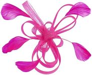 LALAFINA Fascinator Hair Clips Fasc