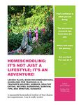 Homeschooling: It's Not Just A Lifestyle; It's An Adventure!: Lesson Plans, Book Recommendations, Guidelines For Teaching K-12, Teacher's Helpers, ... Survival Tips, And Spiritual Guidance