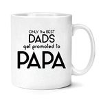 Dads Get Promoted To Papas