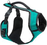 PetSafe EasySport Harness – Padded Straps – Fully Adjustable — Elastic Neckline — Best for Athletic Dogs – Top Handle for Quick Control - Medium - Teal