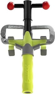 Bullock Ex