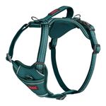 HALTI Anatomy Dog Harness with Handle - Provides Your Dog Freedom of Movement for Comfortable Walking. 3 Lead Attachment Points, Neoprene Padded, Adjustable, and Reflective (Size X-Large, Teal)