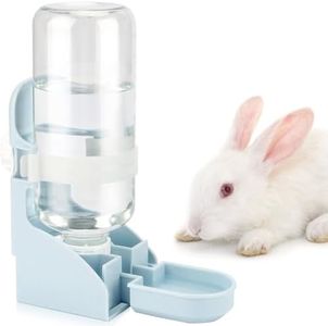 Rabbit Wat