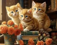 TULIP N TURTLE Puss on Books DIY Acrylic Paint by Number Kit for Adults Kids Beginner Number Painting kit DIY Canvas Painting by Number Wall Decoration DIY Painting kit for Adults