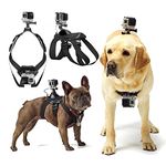 Gopro Mount For Dog