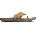 Sperry Men's Outer Banks Thong Sandals, Tan, 7