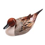 NOVICA "Pintail Duck" Wood Statuette