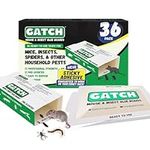 GATCH Mouse & Insect Glue Boards, 3
