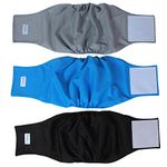 Teamoy Reusable Wrap Diapers for Male Dogs, Washable Puppy Belly Band Pack of 3 (L1, 16''-20''Waist, Black+ Gray+ Lake Blue)