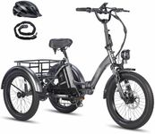 Fafrees F20 Mate Electric Trike E-B