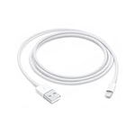 Apple Lightning to USB Cable (1 m) 