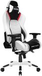 AKRacing Masters Series Premium Gaming Chair with High Backrest, Recliner, Swivel, Tilt, 4D Armrests, Rocker and Seat Height Adjustment Mechanisms with 5/10 warranty - Arctica
