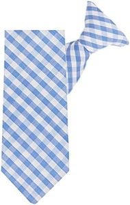 Jacob Alexander Young Boys' Gingham Checkered Pattern 11 inch Pre-Tied Clip-On Neck Tie - Light Blue
