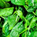 Spinach Seeds Medania - 100 Fresh Spinach Seeds - Plant and Grow Your Own Vegetables Ideal for Greenhouse, Garden, Polytunnel, Large Pots or Containers – Packed in The UK by Meldon Seeds