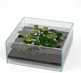 LANDEN Glass Air Aquarium Tank Multi-Scene Landscape Aquarium, 1.6Gallon Rimless Low Iron Shallow Tank,10.63" W×10.63" D×4.72" H (27cmx27cmx12cm) 5mm Thickness