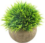 Svenee Mini Artificial Plants, Plas