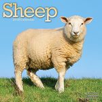 Sheep Calendar - 2016 Wall calendars - Animal Calendar - Monthly Wall Calendar by Avonside