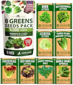 HOME GROWN 8 Lettuce & Salad Greens Seed Vault - 4,000+ Non-GMO Vegetable Seeds for Outdoors or Indoors - Seeds for Planting Hydroponic Garden