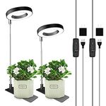 Lights For Plants