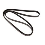 Continental Elite 4060975 Poly-V/Serpentine Belt