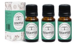 All Naturals - Ooty Eucalyptus Essential Oil (3x30ml) | 100% Pure Hair Oil | Essential Oil For Home Fragrance | Versatile Use Organic Oil | Pure and Authentic | Natural Self-Care | Eucalyptus Hair Oil