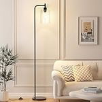 Ziisee Industrial Floor Lamp with G