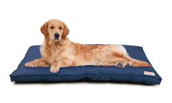 KIBBO Waterproof Flat Bed for Dogs and Cats | Detachable Cover & Washable Dog Bed | Lighweight Design with Anti-Skid Base | for Large Breed | Blue