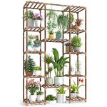 Shelf For Plants