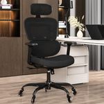 Ergonomic Office Chair - Mesh Office Chair High Back, Rolling Desk Chair, Executive Swivel Chair, Computer Chair with 3D Adjustable Armrest, 3D Lumbar Support, Blade Wheels, Adjustable Headrest