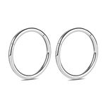 2Pcs Titanium Hinged Segment Earrings Cartilage Helix Lip Tragus Nose Ring Hoop Sleeper Body Piercing