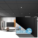 Art3d 12-Pack Smooth Black Drop Ceiling Tile 2ft x 2ft, PVC Ceiling Panel 24 x 24in.