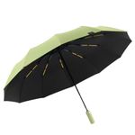 HomeCloud Folding Umbrella featuring 12 Reinforced Ribs, Auto Open/Close Functionality, Waterproof Canopy, Comfortable ABS Handle and Superior Wind-Resistant Double-Bone Fiber Frame (Green)