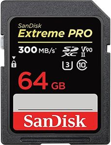 SanDisk 64