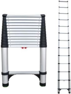 Telesteps