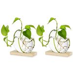 Tabletop Hanging Glass Planter Pcs of 2 Propagation Station Modern Flower Bud Vase in Wood Stand Rack Terrarium for Hydroponic Plants Cuttings Office Home Decoration, Gift for Plant Lover