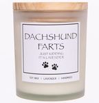 Dachshund Gifts, Dachshund Gifts for Women, Dachshund Decor, Weiner Dog Gifts for Women, Dachshund Candle, Weiner Dog Stuff, Weenie Dog Gifts, Wiener Dog Gifts, Weiner Dog Gifts