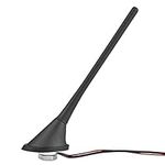 Truck Antenna Car Radio Antenna | C