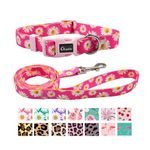 Olahibi Dog Collar and Leash Set, Pink Daisy Pattern, Polyester Material, 5ft Matching Leash, for Small Dogs.(S, Hot Pink Daisy)