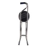 Cane With Seat Walmart